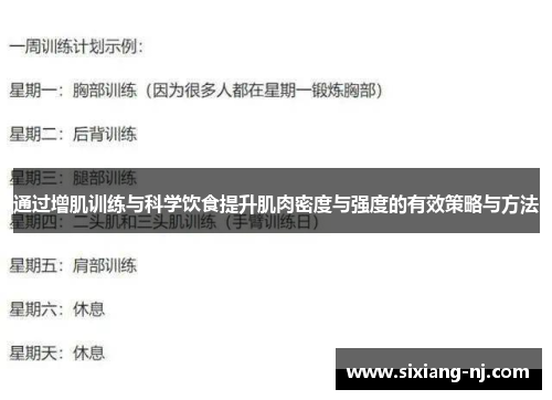 通过增肌训练与科学饮食提升肌肉密度与强度的有效策略与方法