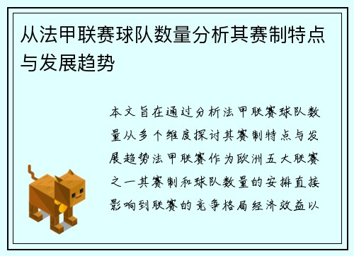 从法甲联赛球队数量分析其赛制特点与发展趋势
